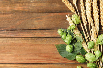Fresh green hops and wheat spikes on wooden background, top view with space for text. Beer...