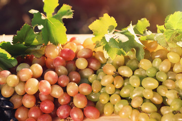 Fresh ripe juicy grapes on table against blurred background
