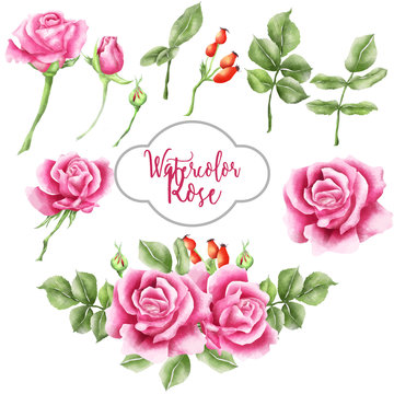 watercolor rose pink set, bouquet rose
