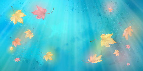 Obraz na płótnie Canvas Flying Autumn Leaves