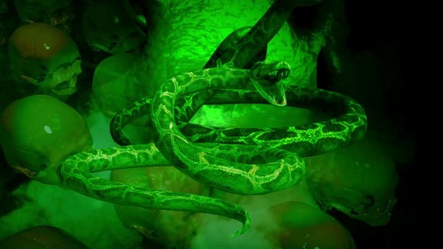 animation of people's skull and snakes in front of screen