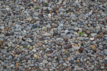 pebbles on the beach