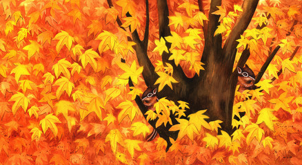 squirrel in maple leaves in autumn 