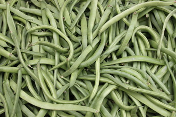 Fresh green beans as backround