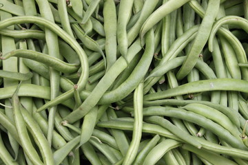 Fresh green beans as backround