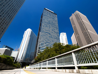 Obraz na płótnie Canvas 新宿の高層ビル街