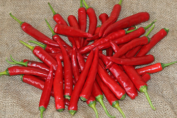 Green, red and ground paprika from the home garden