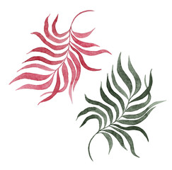 Watercolor painting two tropical leaves isolated on white