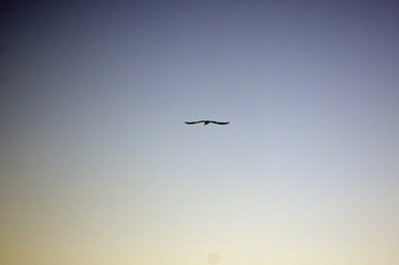 Sunset viewed from Jetty, Busselton, WA, Australia
