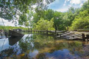 Fototapeta na wymiar old wooden bridge walkway small pier, long tail fishing boat and ruin old unused boat in canal near evergreen mangrove tree forest