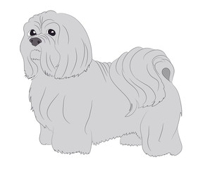 dog vector in the room