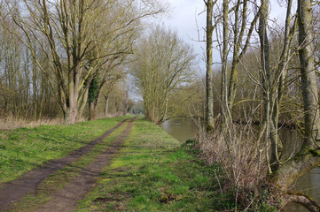 Fototapeta na wymiar chemin au bord de la rivière Sensée a Paillencourt 