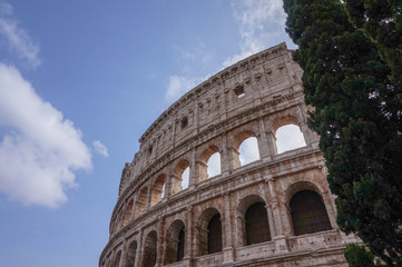 Fototapeta na wymiar Colosseum next to a tree in Rome, Italy