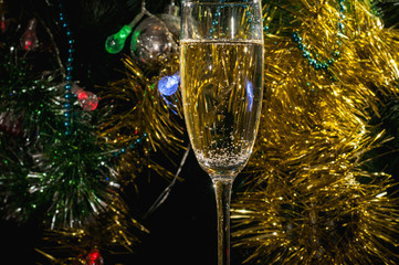 a glass of champagne under the Christmas tree