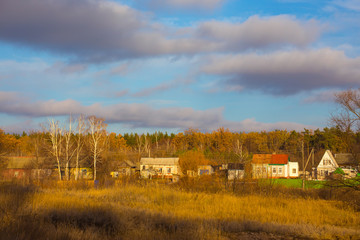 Houses in the forest illuminated by the setting sun.