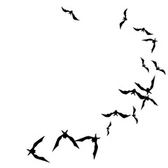 Halloween background with black bats on white. Halloween party card background template. black flying bats.