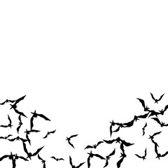 Halloween background with black bats on white. Halloween party card background template. black flying bats.