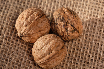 Drei Walnüsse (Juglans regia)