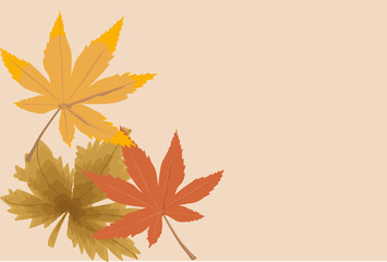 Hojas secas de oto&ntilde;o ca&iacute;das en el suelo.