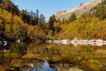 reflection autumn green forest in pure Lake