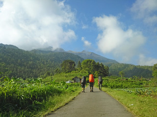 Three hikers with heavy backpacks walking on road towards mountain. Wanderlust and travel concept