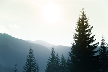 A dreamy, hazy landscape of a mountains close to sunset. Sun flas\re and misty look in blue tones. Mountain landscape in evening. Tatra mountains in Slovakia, Europe.