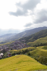 Obraz premium Terraces rice china