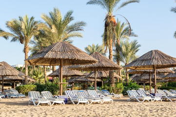 Beach chairs and umbrellas at sea beach.