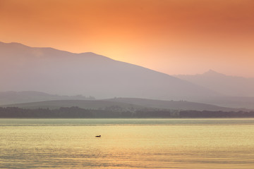 A beautiful morning landscape with ducks swimming in the mountain lake with mountains in distance. Sunset scenery in light colors. Birds in natural habitat. Tatra mountains in Slovakia, Europe.