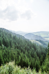 A beautiful mountain landscape in Tatra mountains in Slovakia, Europe. Summer scenery with mountains and forest.