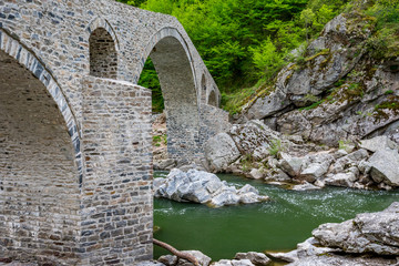 Fototapeta na wymiar The famous ancient beautiful Devil's bridge near the Rhodopean town of Ardino, Bulgaria, partial view of the structure taken at springtime with saturated green river waters