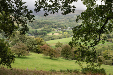 Landscape image of view from Precipice Walk in Snowdonia overlooking Barmouth and Coed-y-Brenin forest during rainy afternoon in September