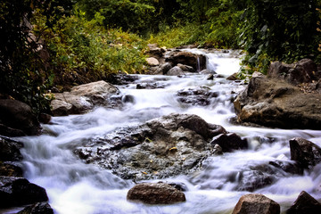 small waterfall in the forest