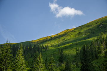 A beautiful summer landscape in mountains. Natural scenery in mountains, national park. Tatra mountains in Slovakia, Europe.