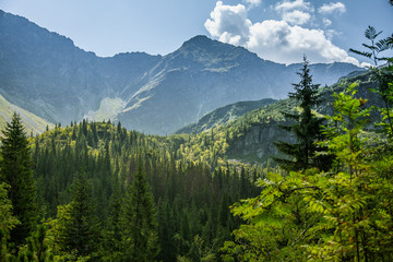 A beautiful summer landscape in mountains. Natural scenery in mountains, national park. Tatra mountains in Slovakia, Europe.