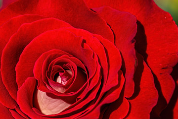 Rote Lippen