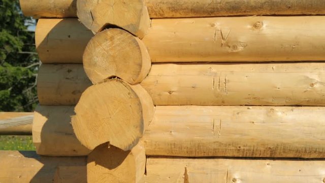 Wooden timberwork in forest