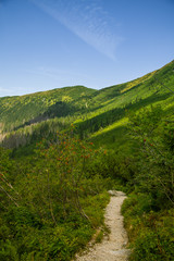 A beautiful hiking trail in the mountains. Mountain landscape in Tatry, Slovakia. Walking path scenery.