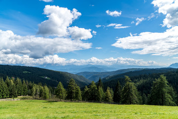 Fototapeta na wymiar Wiese Wald Panorama mit viel blauem Himmel und weißen Wolken