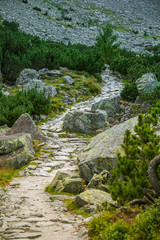 A beautiful hiking trail in the mountains. Mountain landscape in Tatry, Slovakia. Walking path scenery.