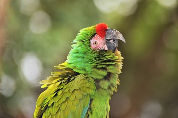 Bird park in Johannesburg