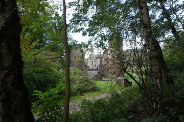 Burgruine im Wald