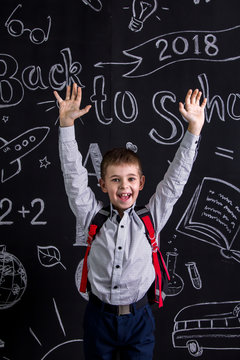 Happy and cheerful schoolboy standing before the chalkboard as a background with a backpack on his back and hands raised. Portrait picture