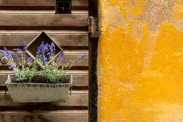 Wooden window shutters and purple decorative flowers