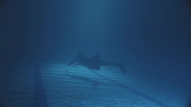 Diving in the dark pool, one man with daving equipment swimming under the water.