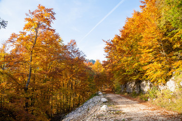 Autumn mountain landscape