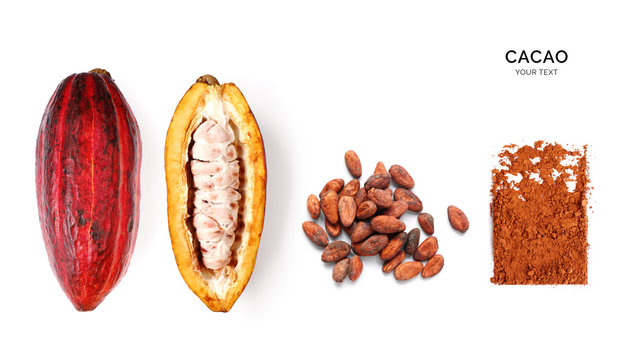 Creative layout made of cacao powder,  cacao fruit and cacao beans on the white background. Flat lay. Food concept. Macro  concept.