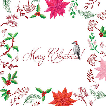 Christmas decoration with Bird and Poinsettia