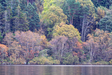 autumn landscape with trees and lake