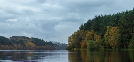 lake in forest